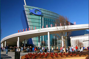 THE Georgia Aquarium